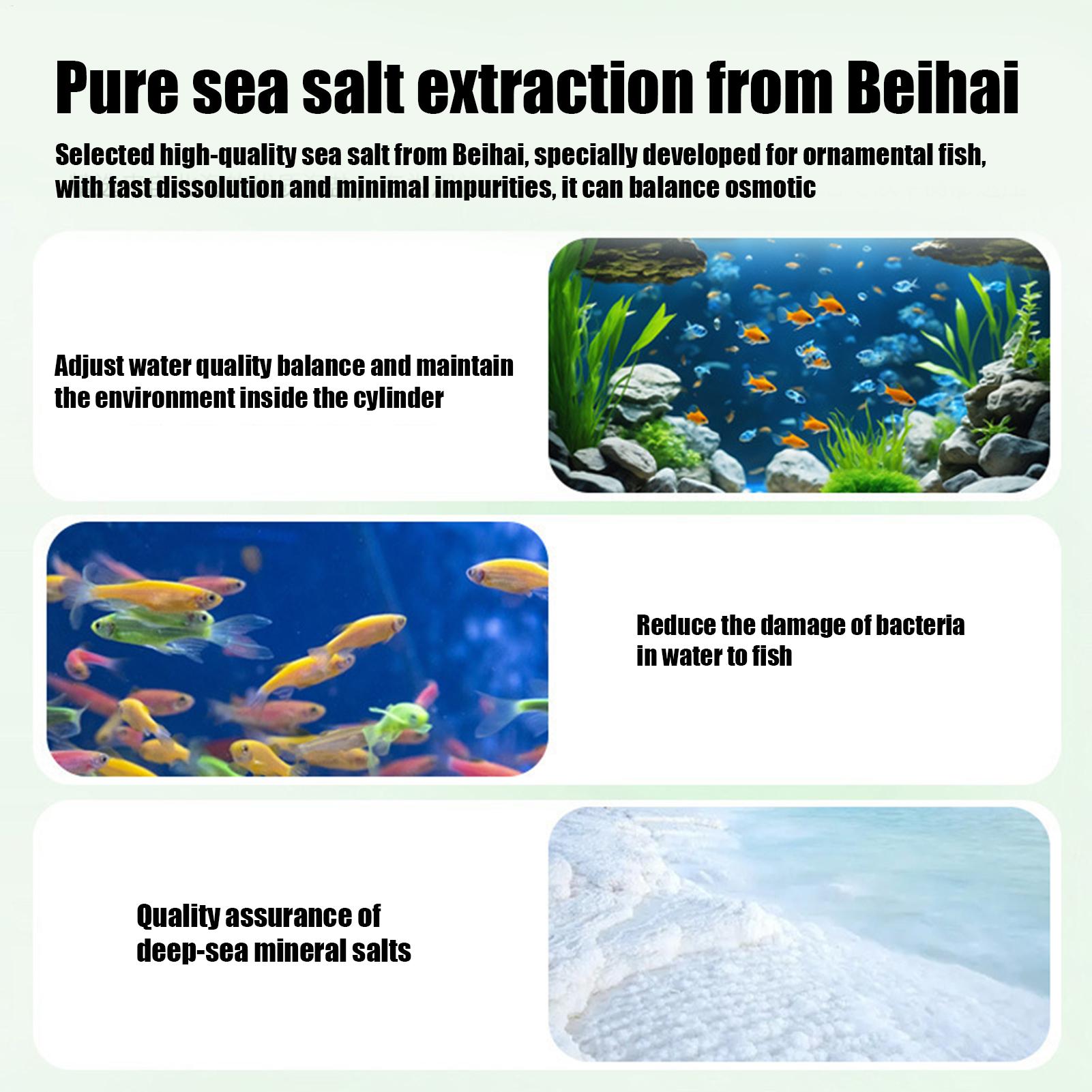 Fish Can Algae Remover Aquariu - Betta Fish Tank ulasan dan harga