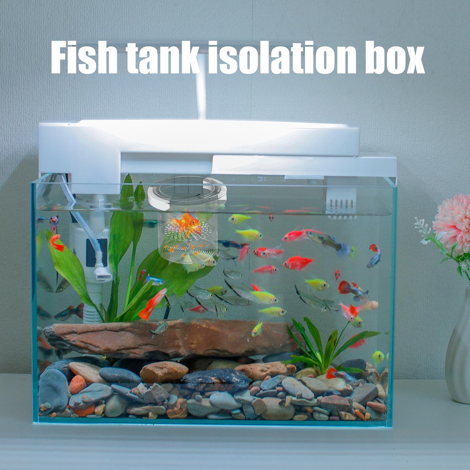 Fish Breeder Box Floating Aqua - Aquarium Fish Betta ulasan dan harga
