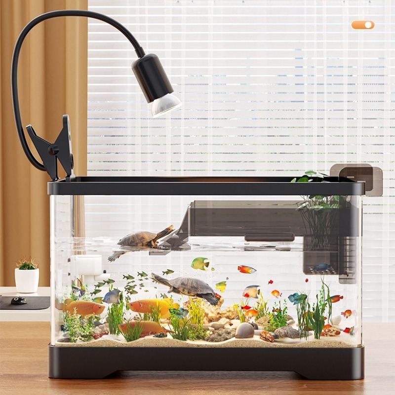 Acrylic Fish Aquarium Ultra Cl - Aquarium Fish Betta ulasan dan harga