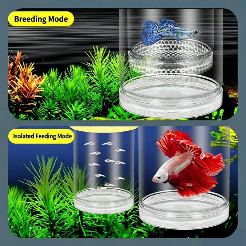 Transparent Floating Aquarium  - Aquarium Fish Betta ulasan dan harga