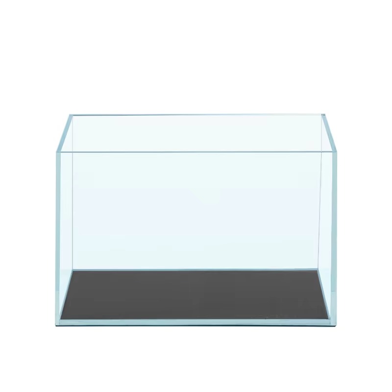 Factory Price Super White Glas - Aquarium Fish Betta ulasan dan harga