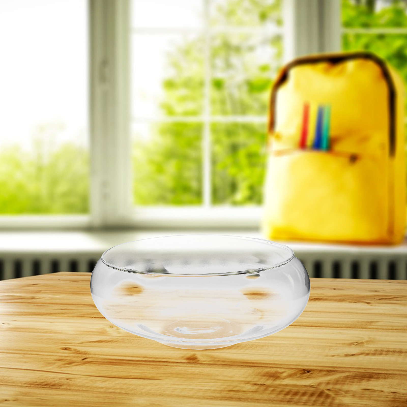 Glass Hydroponic Planter Bowl  - Aquarium Plants ulasan dan harga